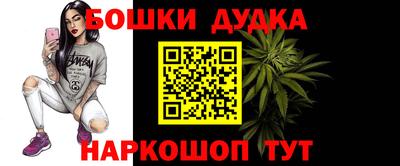 PSILOCYBIN Нальчик
