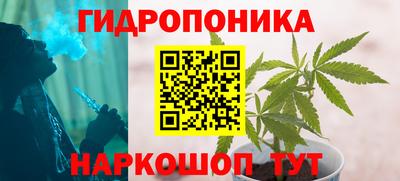 PSILOCYBIN Нальчик