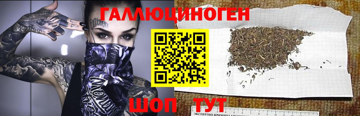 Псилоцибиновые грибы мицелий Валуйки